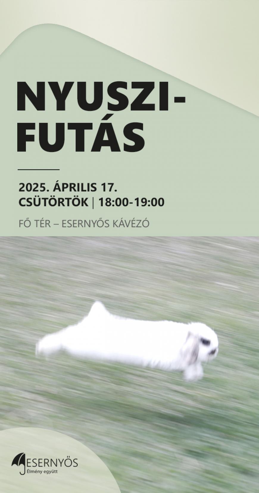 Nyuszifutás