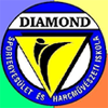 Diamond Sportegyesület és Harcművészeti Iskola
